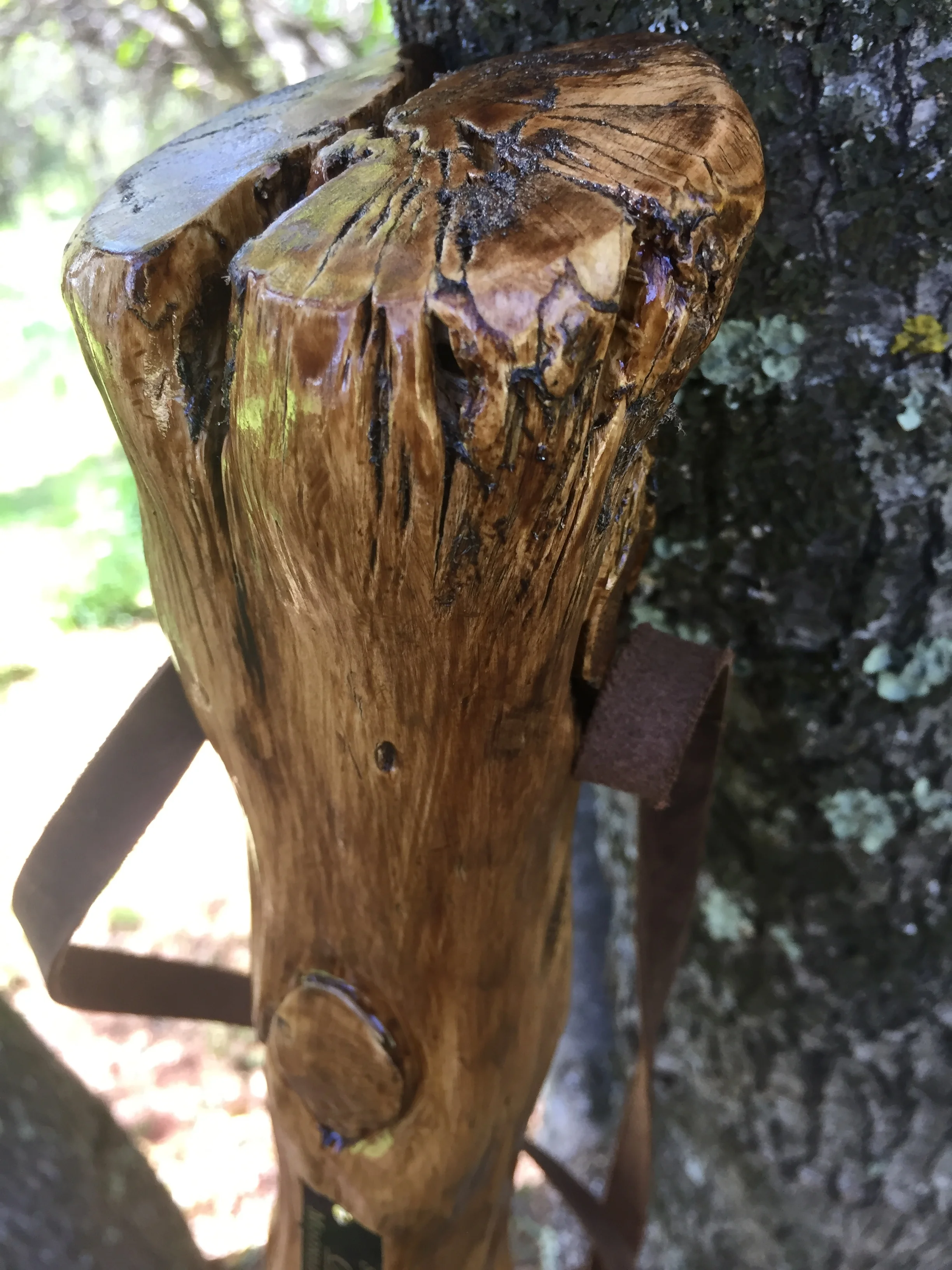 57'' Cookies walking staff