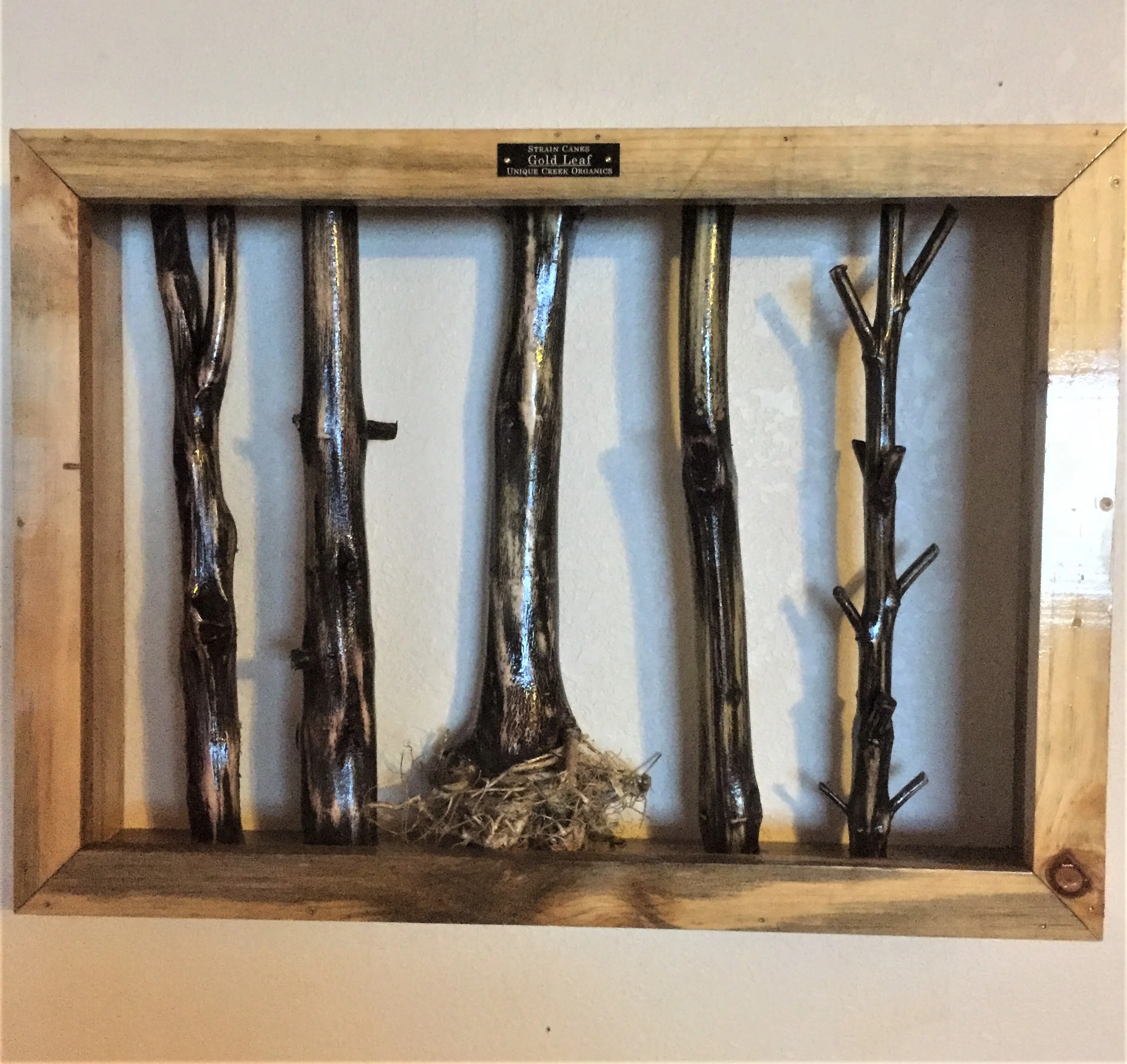 Gold Leaf strain shadow box wall frame.