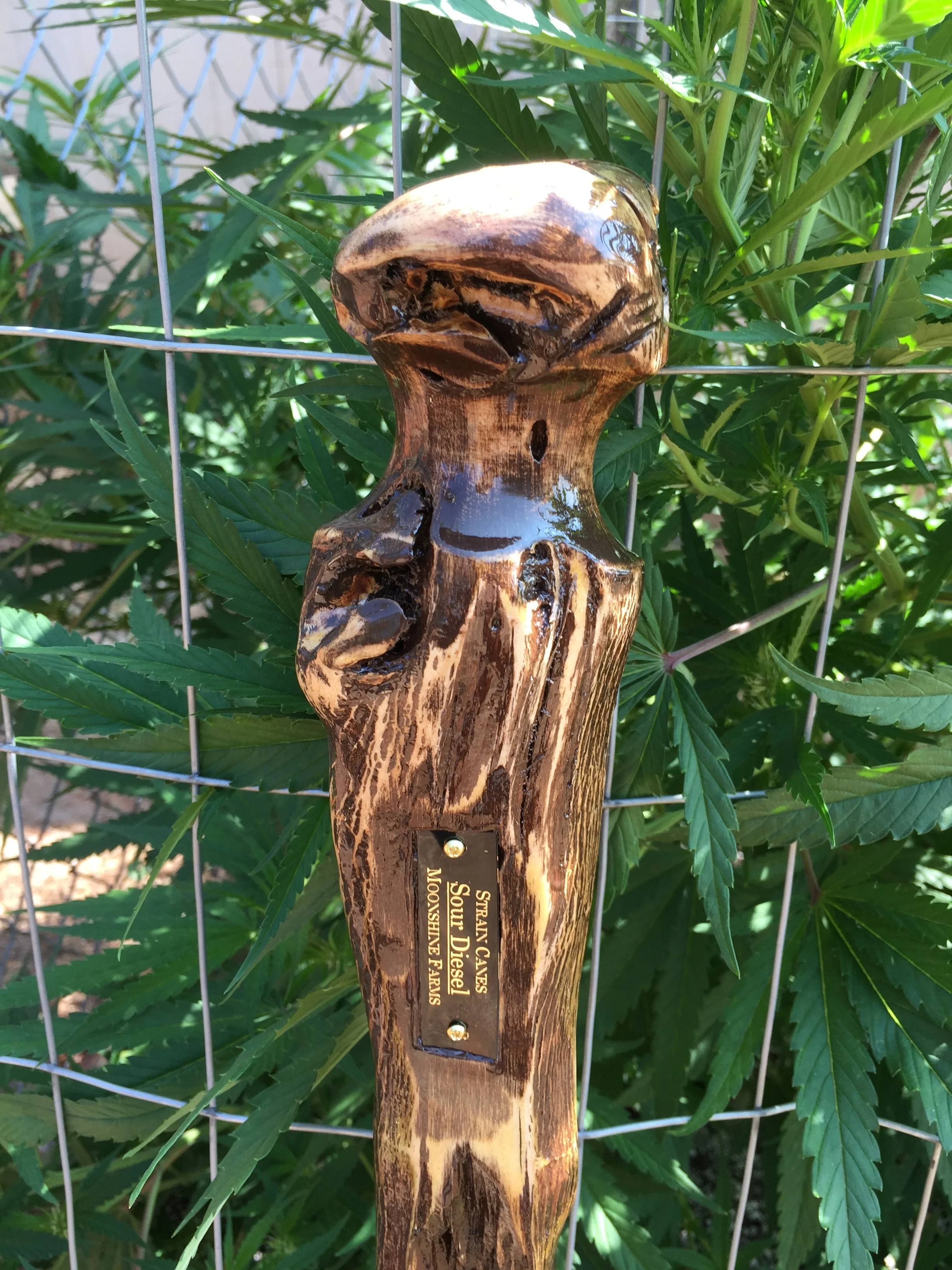 35'' sour diesel walking cane with hand carved handle