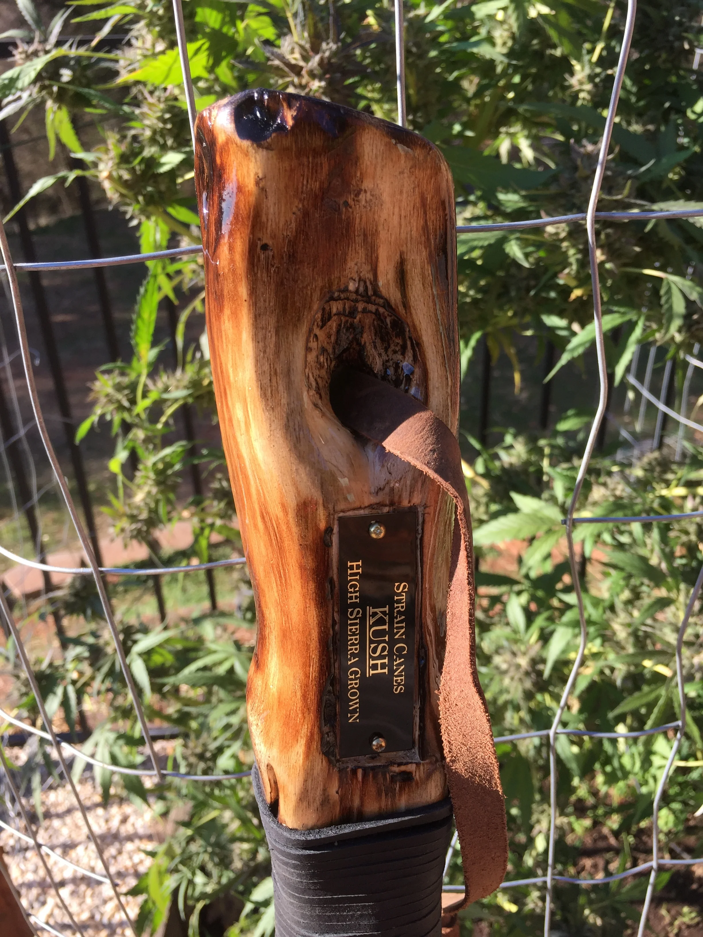 55'' KUSH walking staff