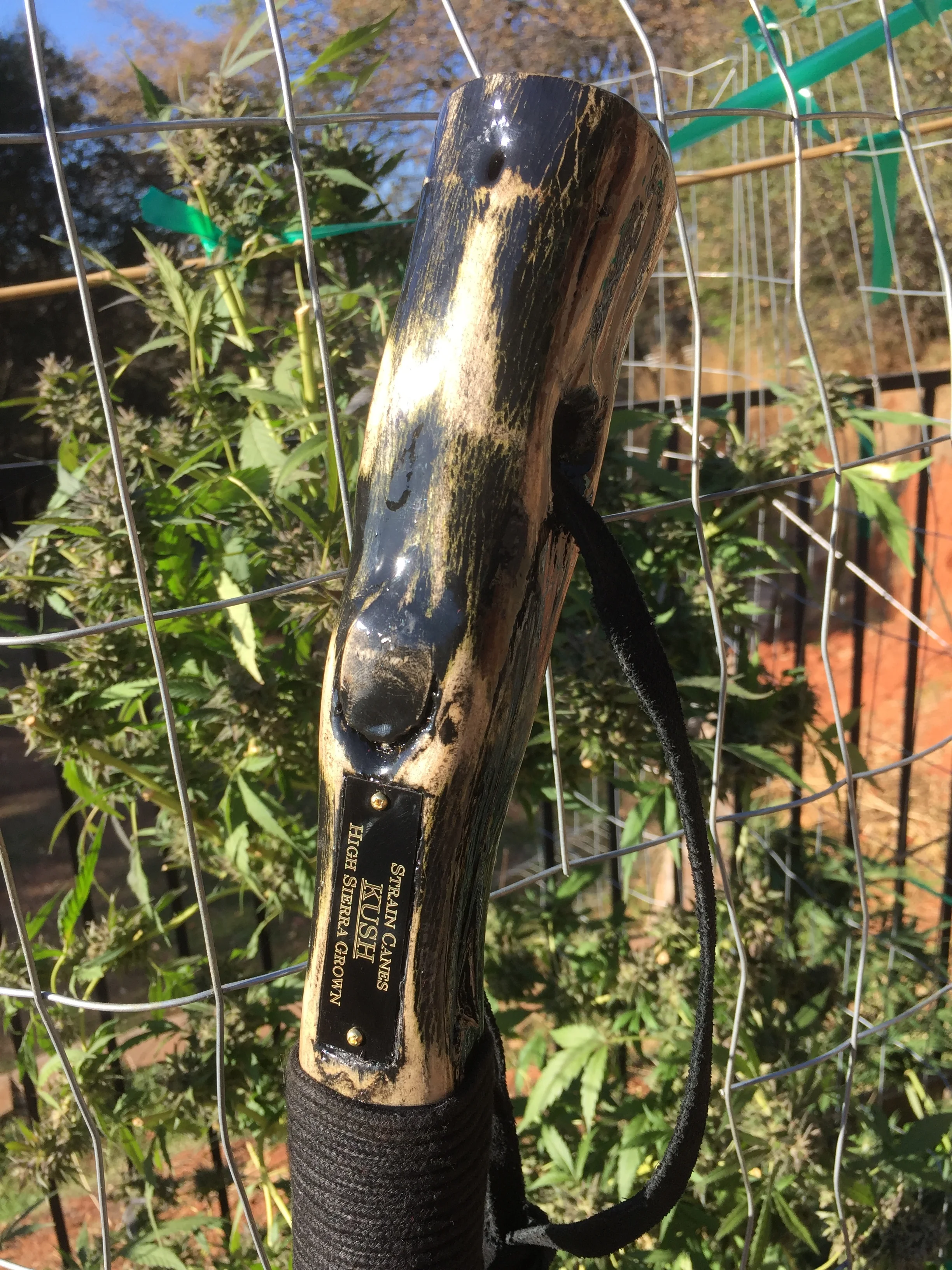 70" Kush walking staff