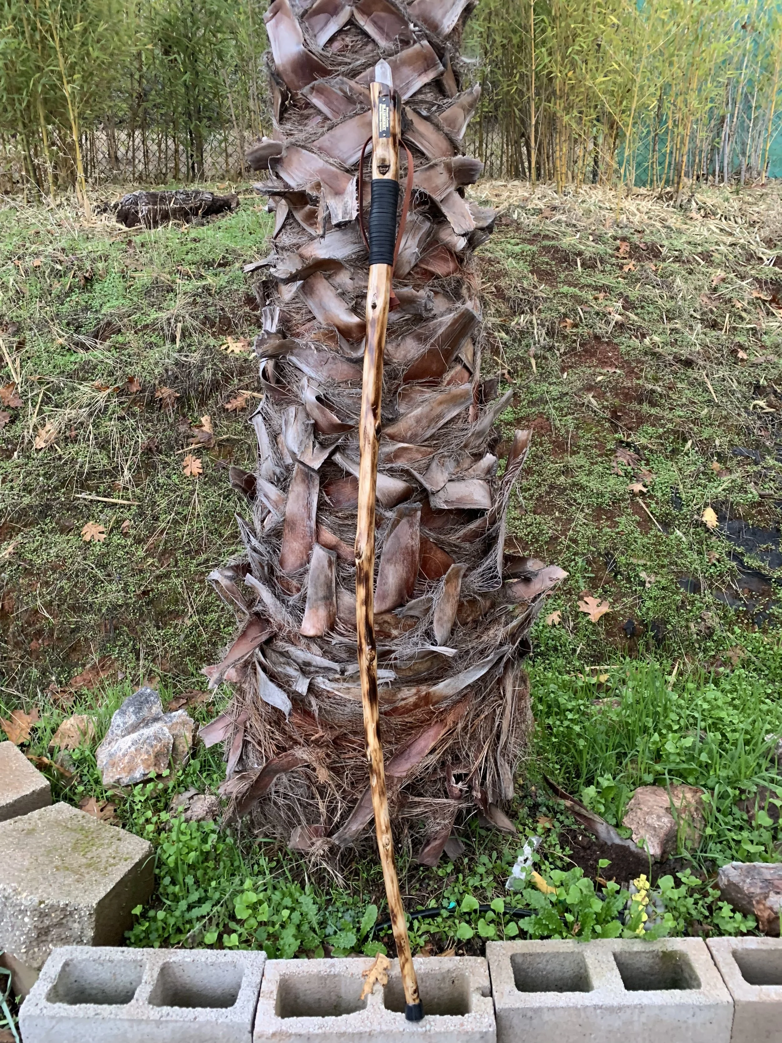 59'' Blueberry walking staff with quartz crystal.