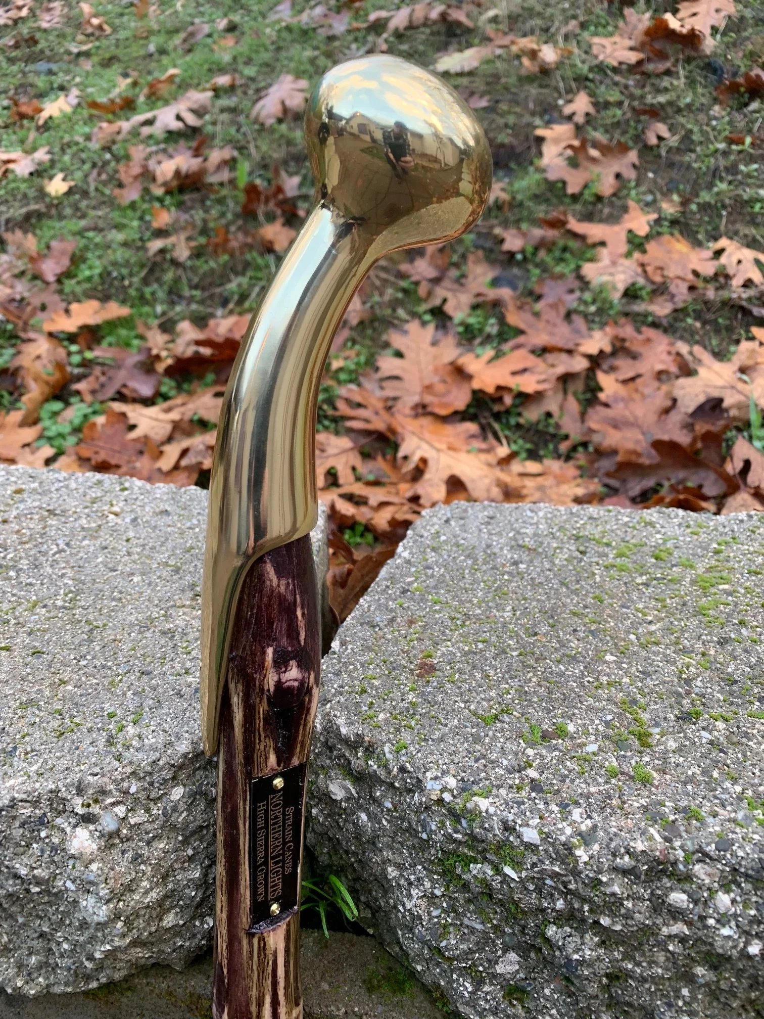 34" Northern Lights walking cane with brass hame handle