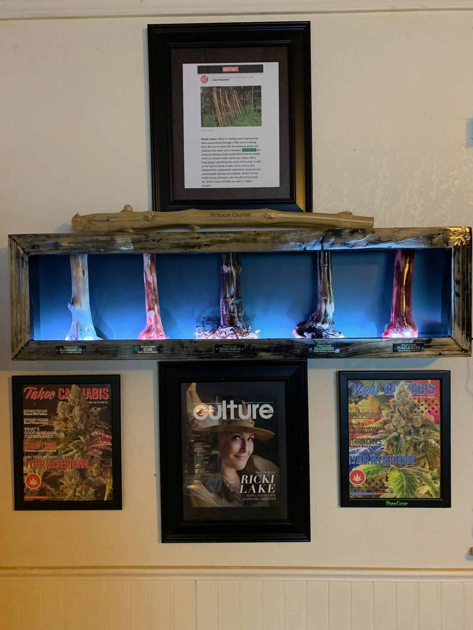 Light box with five different strains 