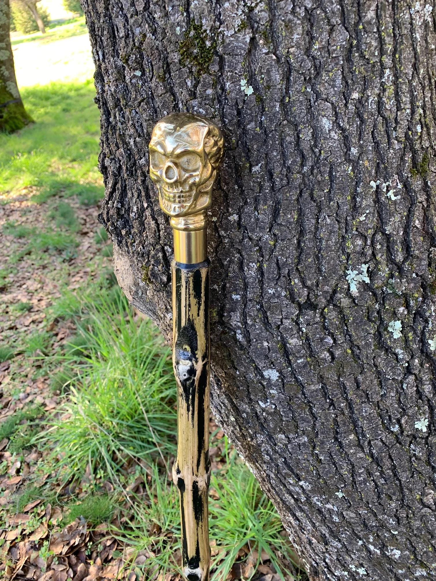 34'' Berry G'oood walking cane with a brass skull handle. From High Country Genetics