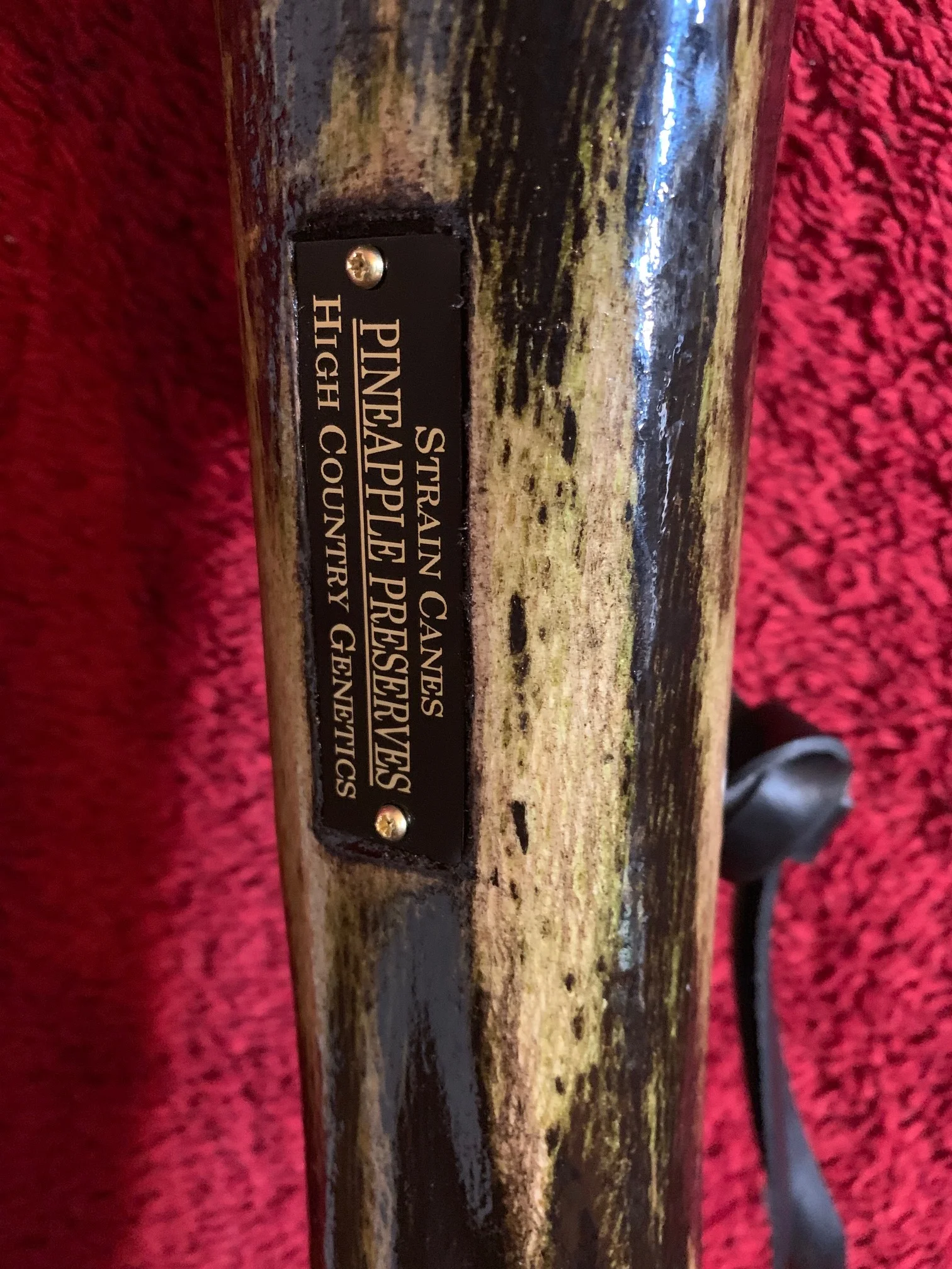 52'' Pineapple Preserves walking staff.