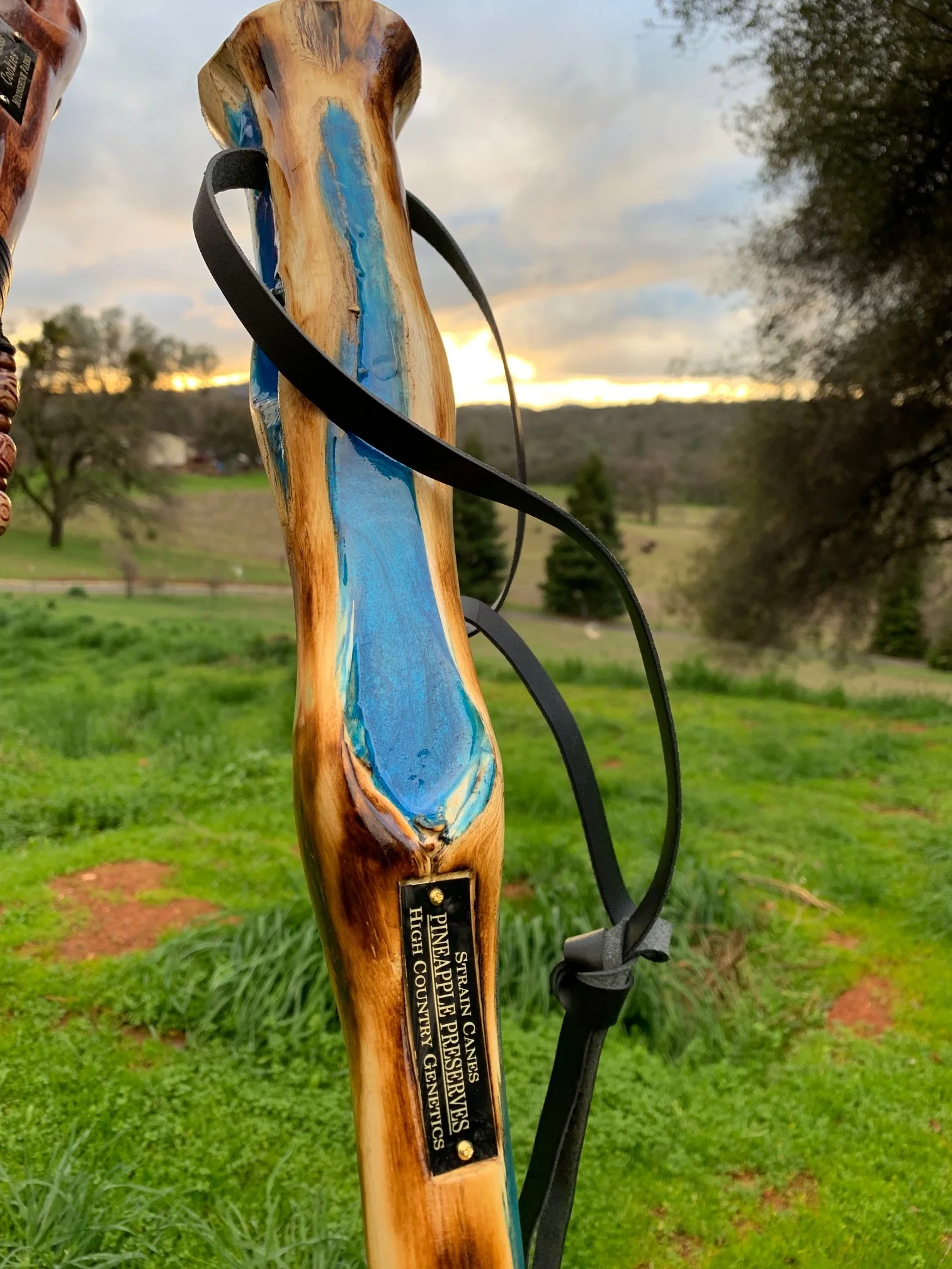 55'' Pineapple Preserves walking staff