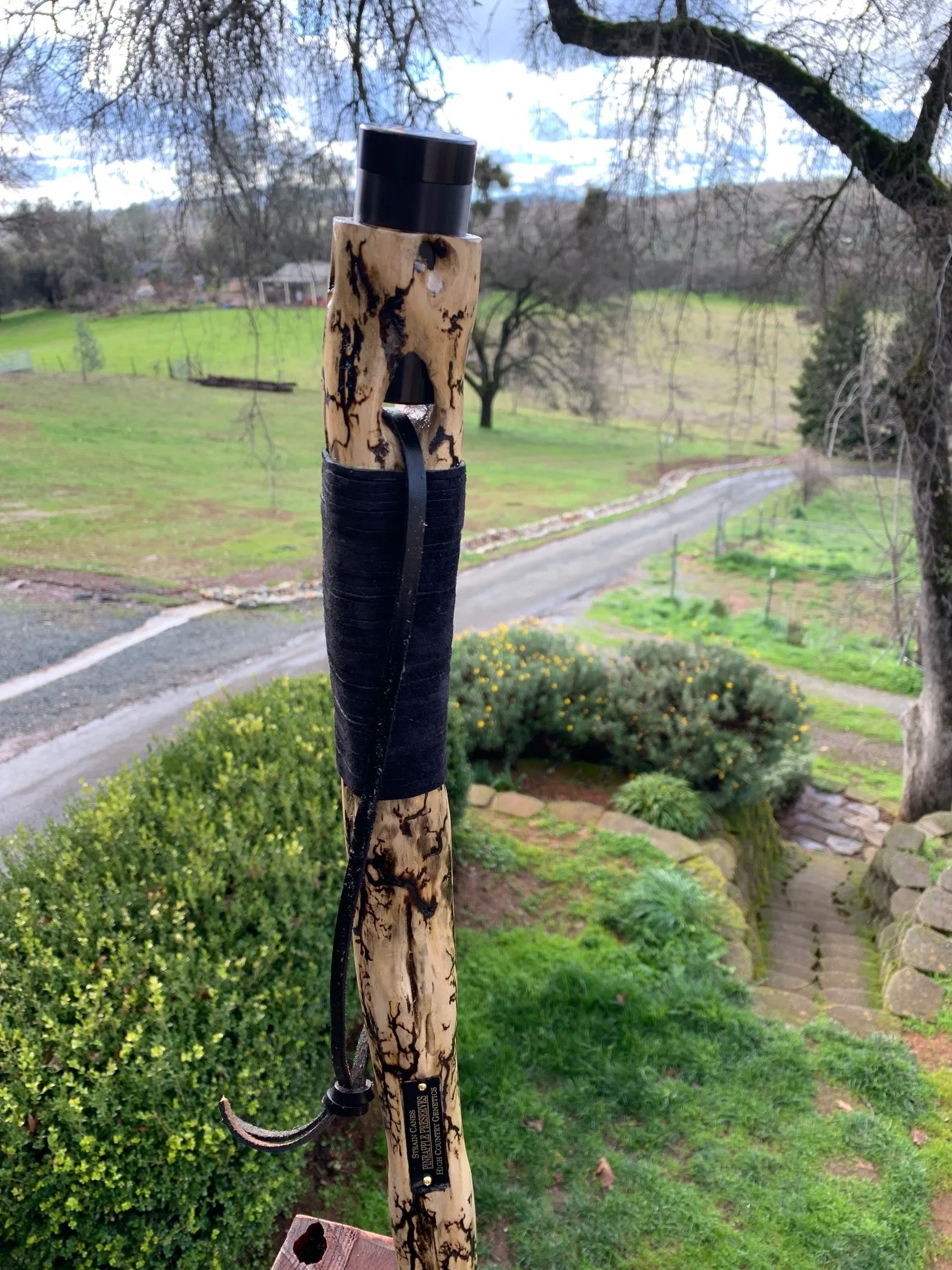 56" Pineapple Preserves walking staff with fractal imagery and stash container.