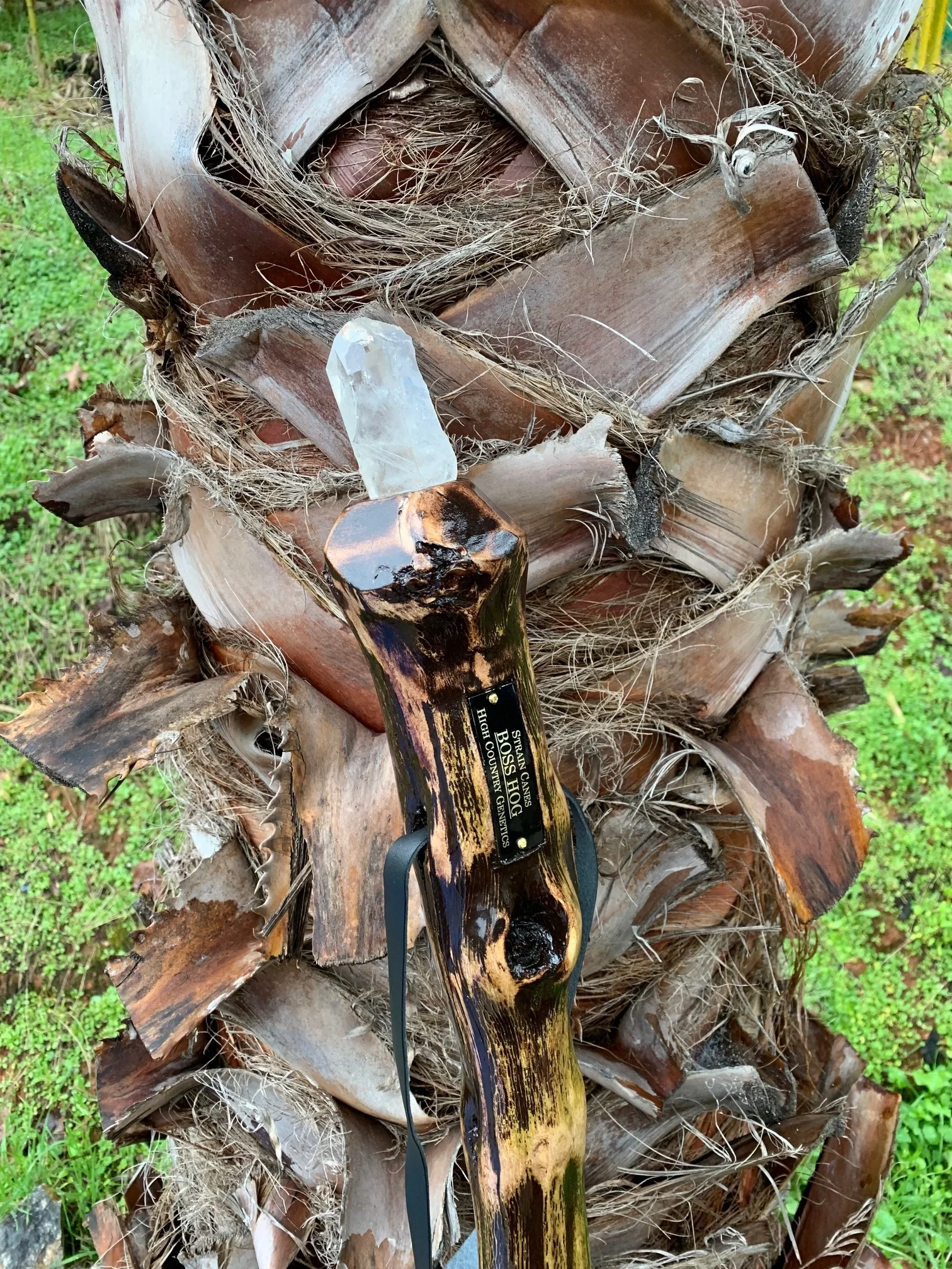 58'' Boss Hog walking staff with inlaid crystal