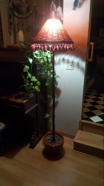 Northern Lights floor lamp growing out of pot