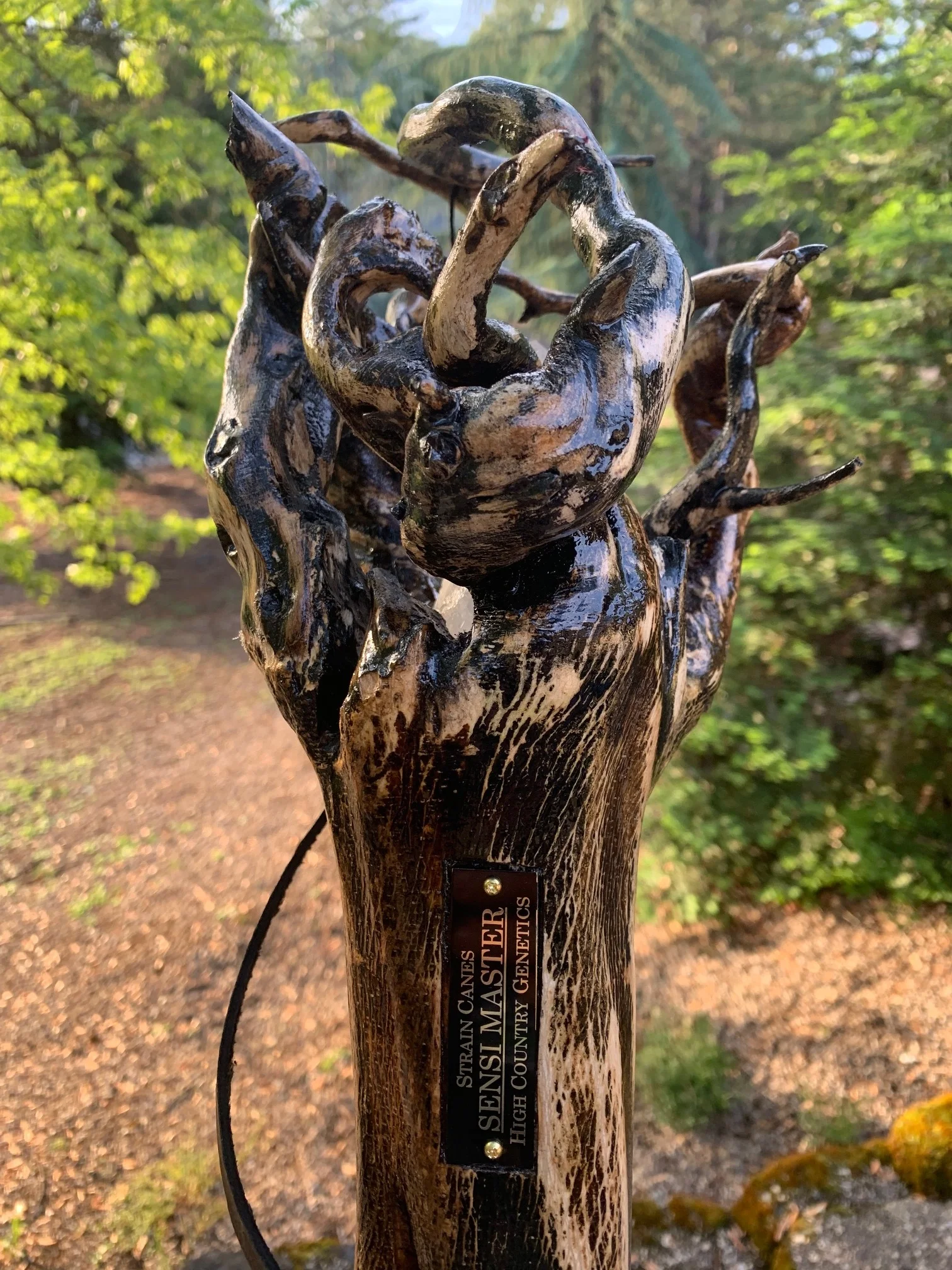 58'' Limited edition Sensi Master walking staff.