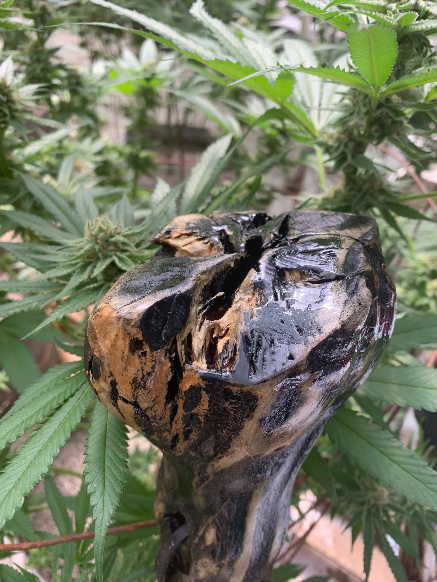 52"Sensi Master walking staff