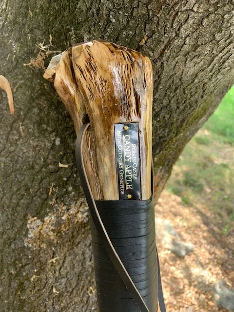 55'' Candy Apple walking staff