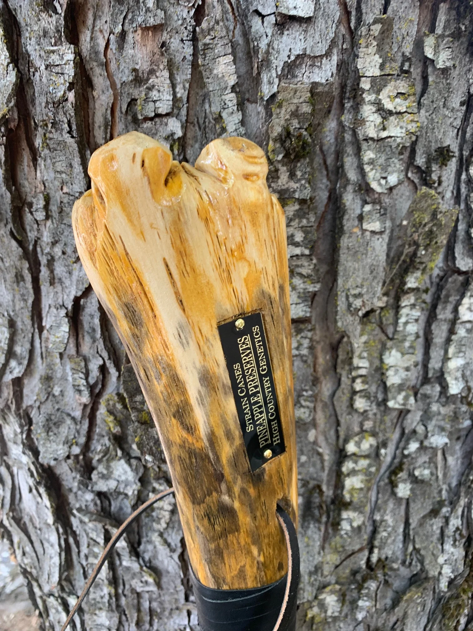 57'' Pineapple Preserves walking staff