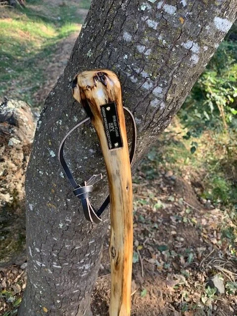 35'' SFV walking cane with organic root handle