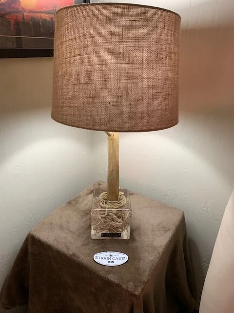 Northern Lights lamp with suspended roots in epoxy