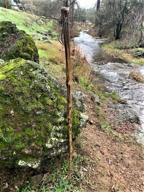 60'' Pineapple Preserves walking staff