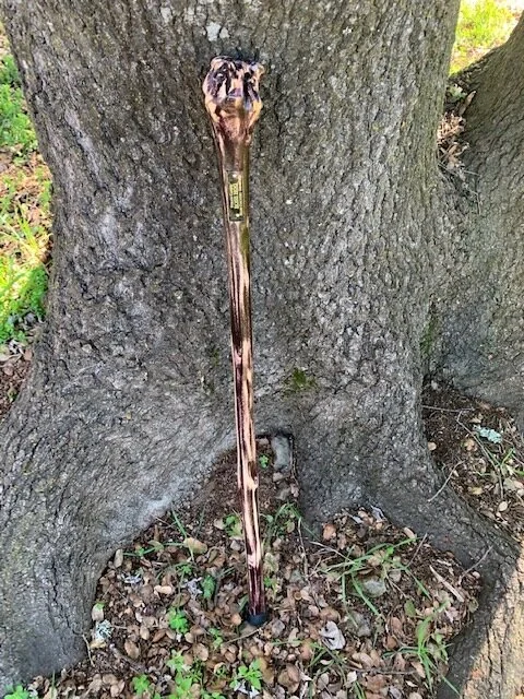 34'' Boss Hog walking cane