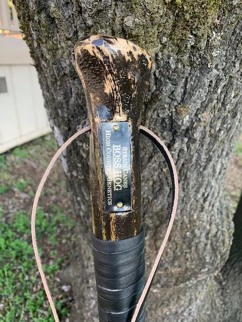 62'' Boss Hog walking staff