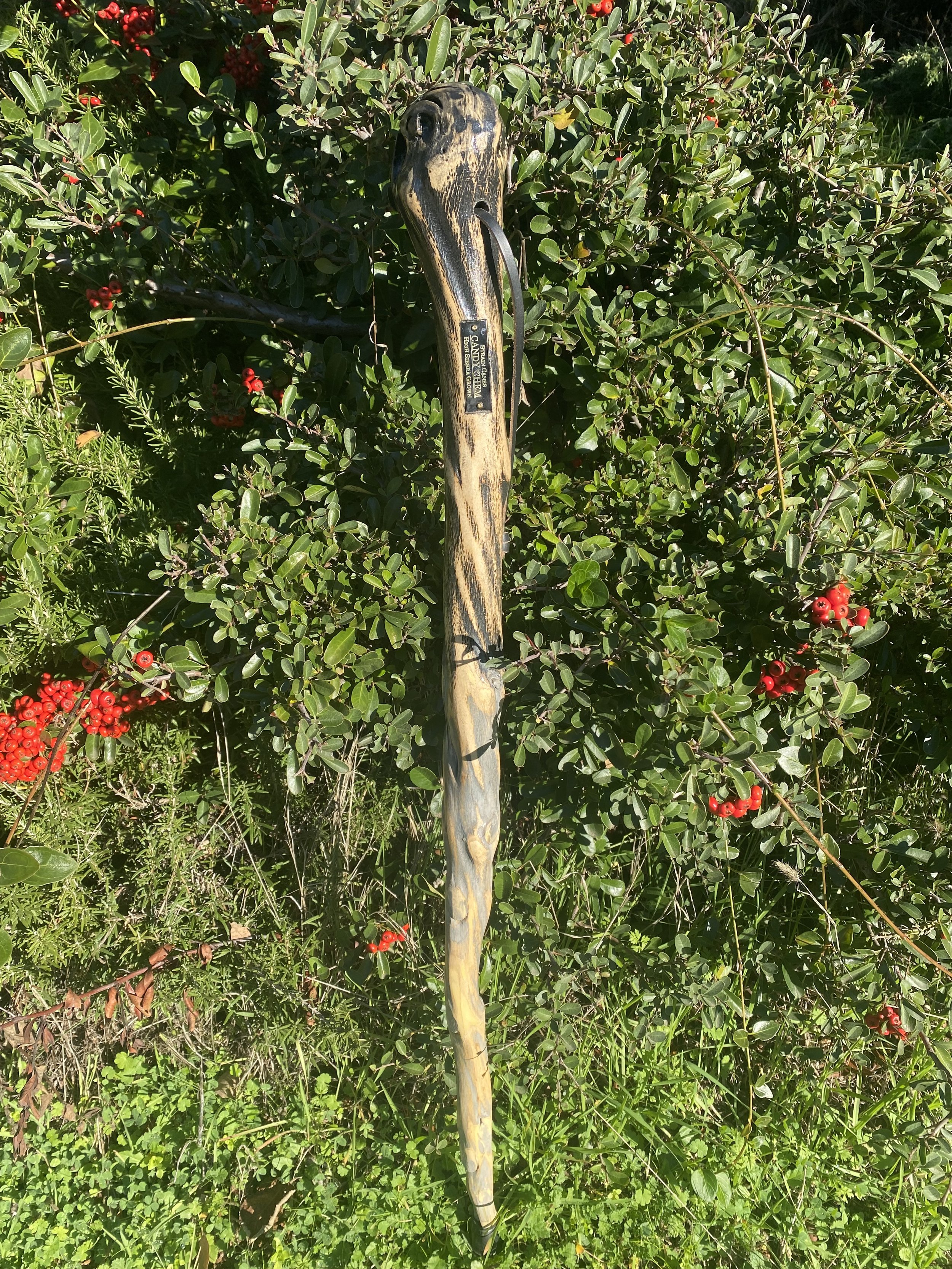 35'' Candy Chem walking cane