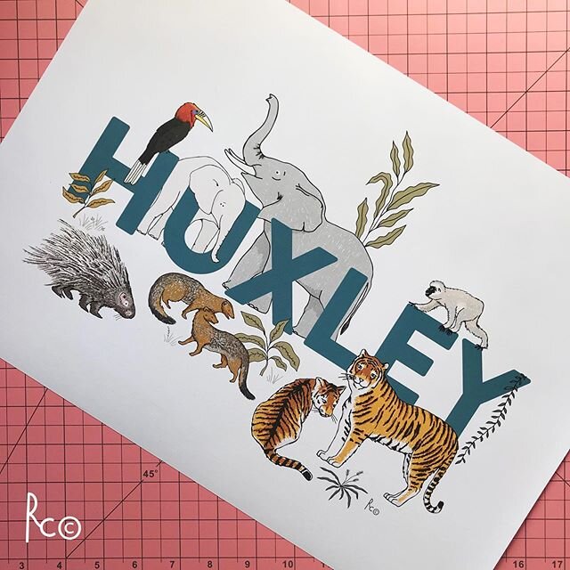 💫 One of my latest creations for new arrival in Cairns cutie pie Huxley &gt; inspired by creatures from the deep jungles of Asia &gt; Rufous Necked Hornbill / Asian Elephant / Lar Gibbon / Malayan Porcupine / Short Tailed Mongoose / Bengal Tiger 🐯?