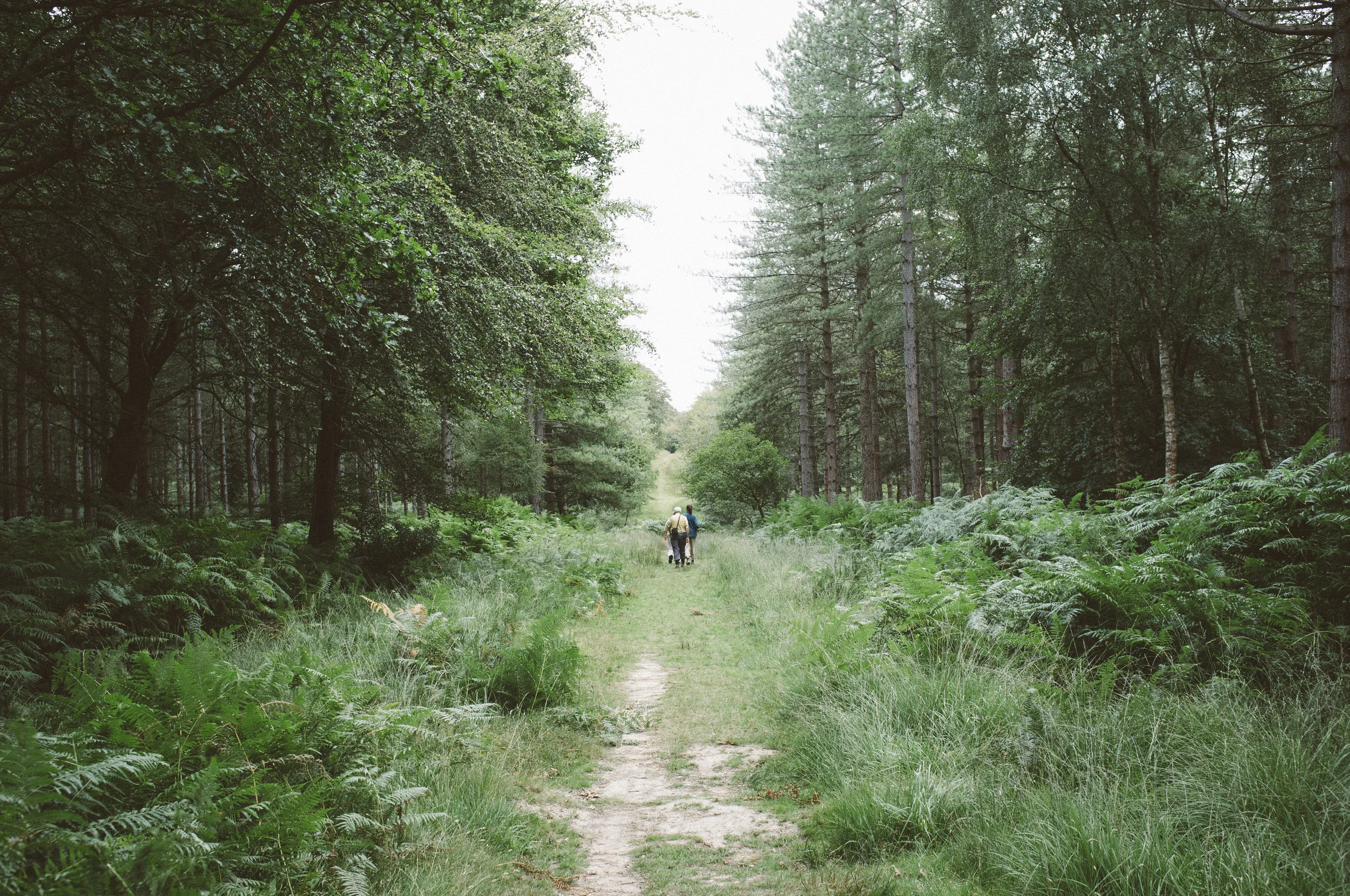 003_Anne Hollowday_Following the leader 2.JPG