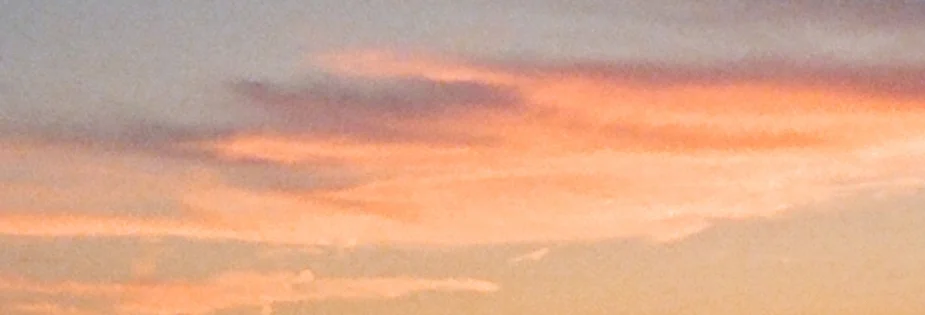 06_10330037.JPG