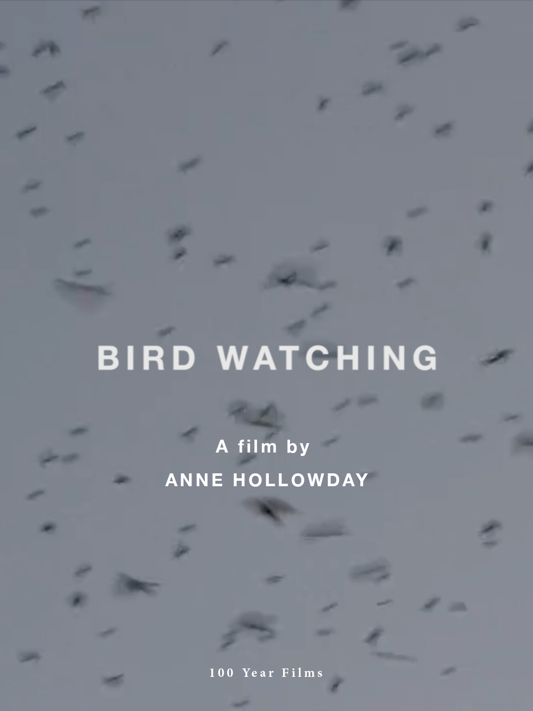 Anne Hollowday_Bird Watching_poster.png
