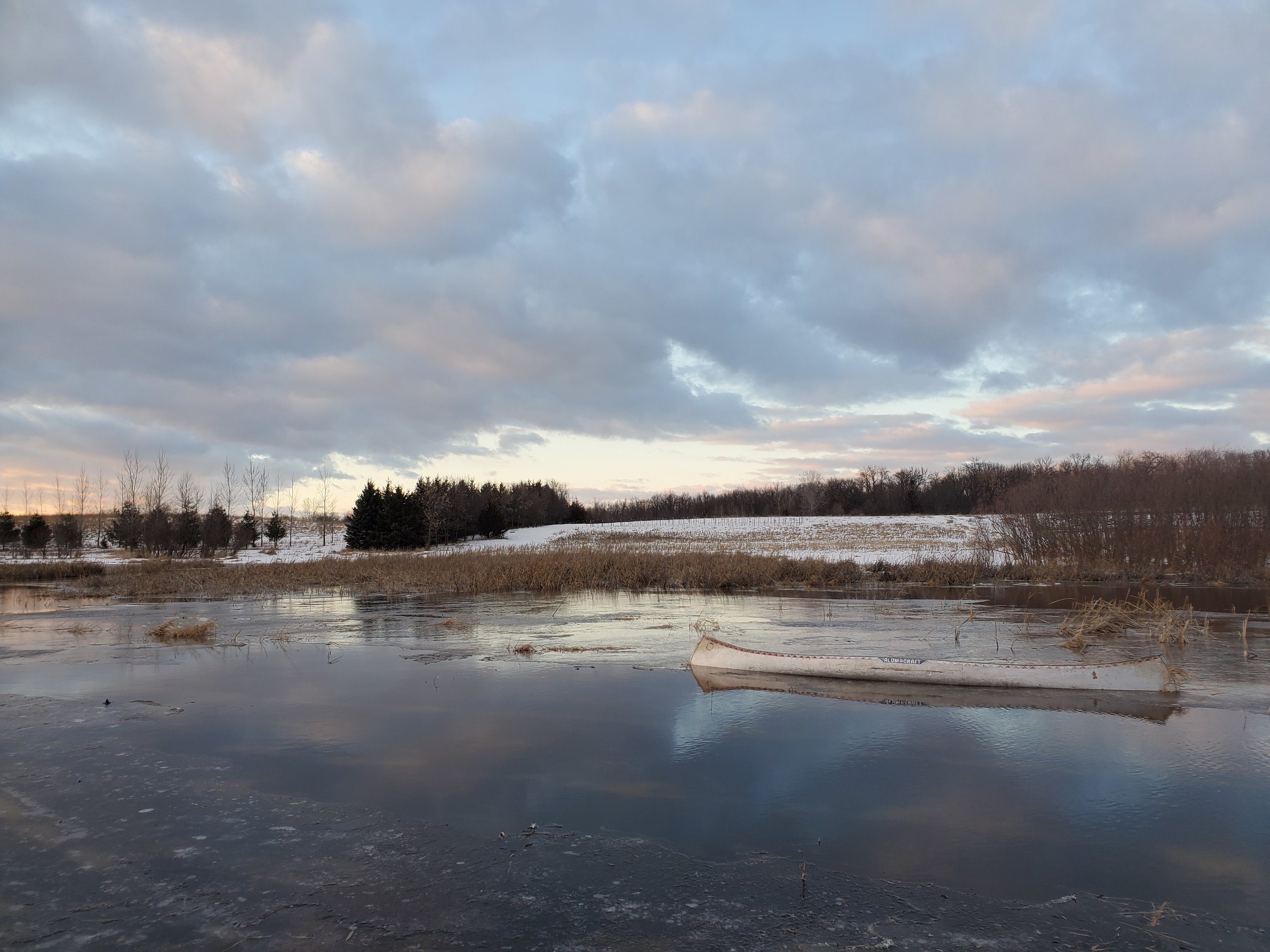 20190315_190401.jpg