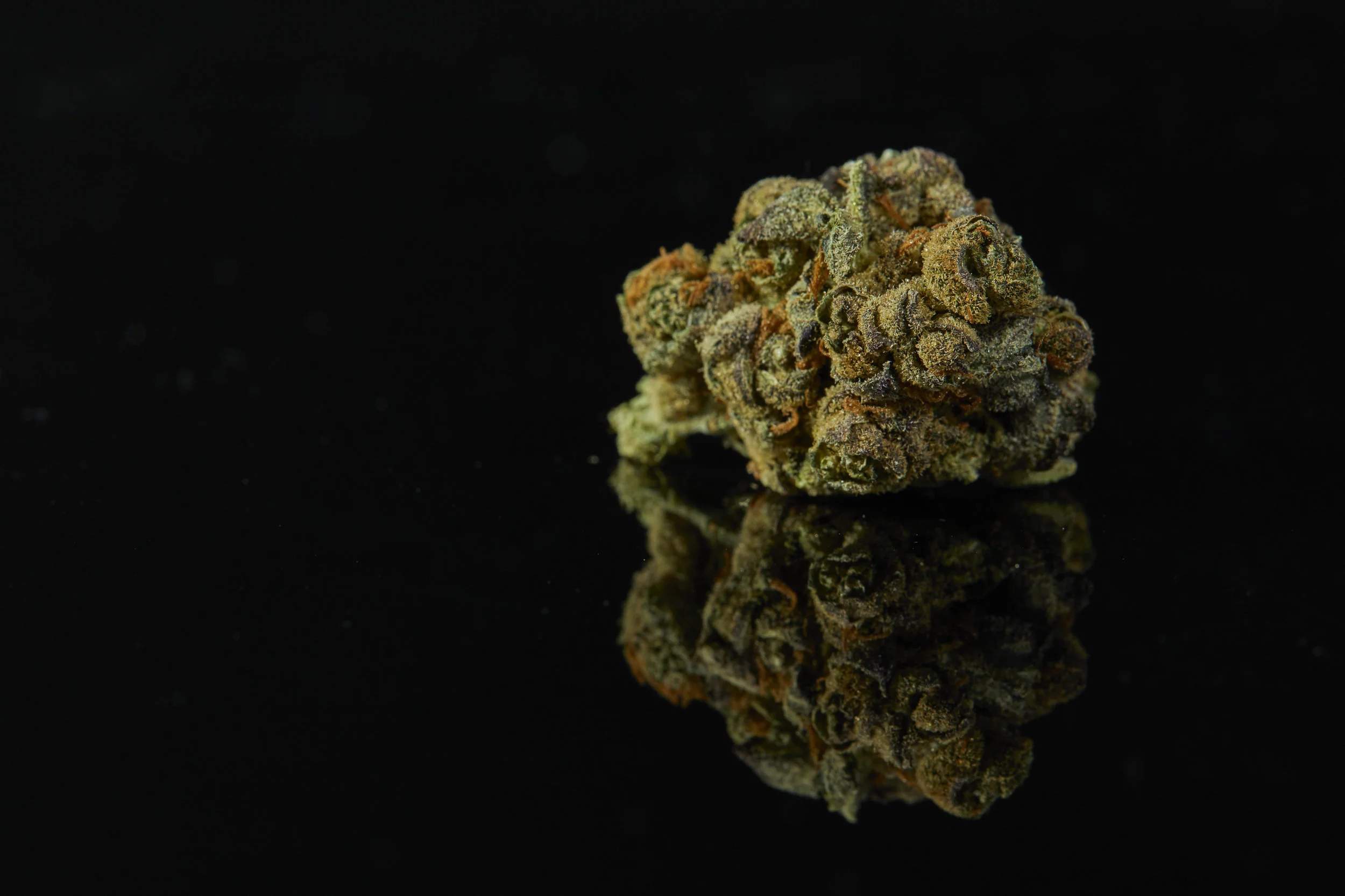 DJGold0230.jpg