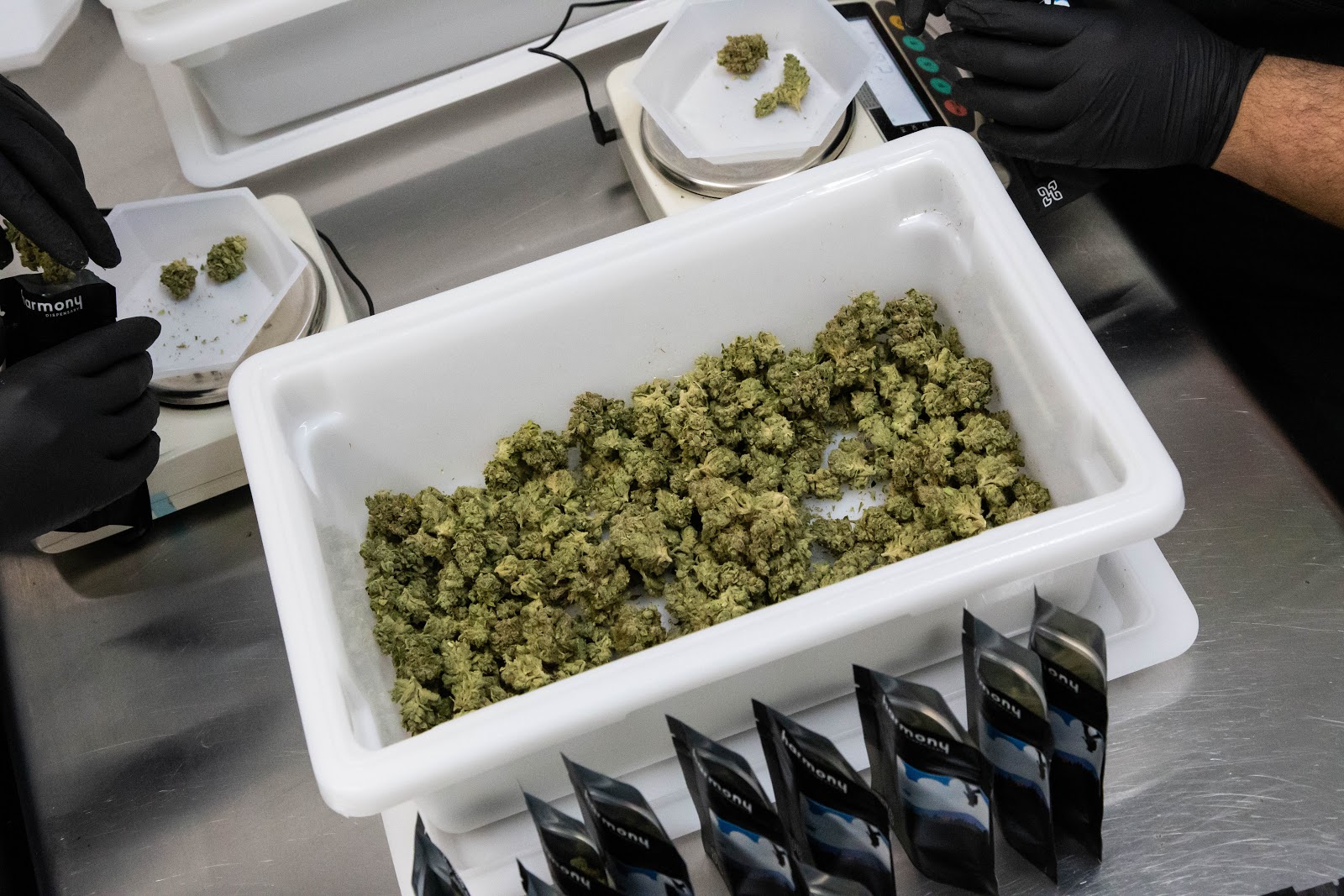 2019_02_06_Packaging_BlackBags_Cultivation_Flowering_Harmony_Dispensary_Cannabis_Marijuana_02.jpg