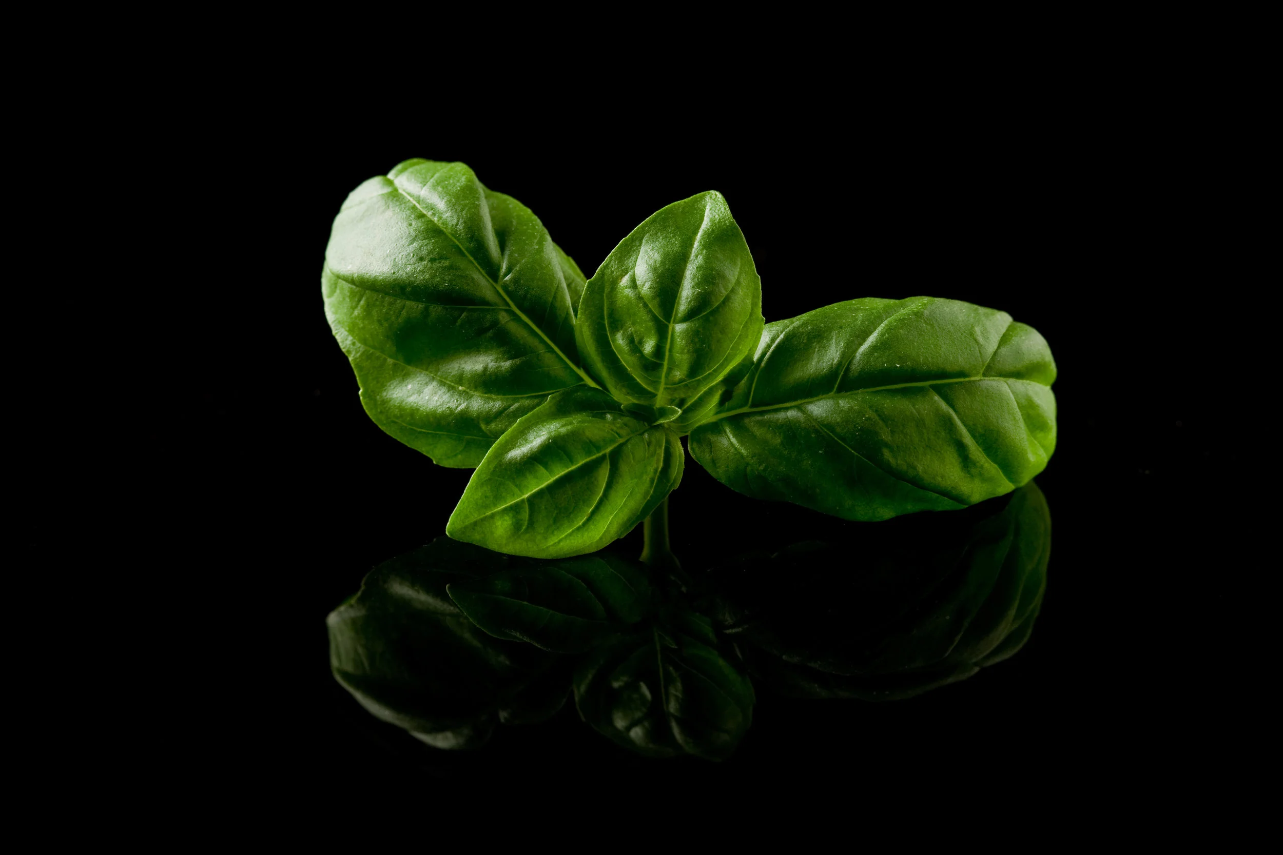 shutterstock_86110150.jpg