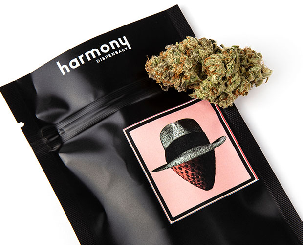 Strawberry-og-MC-03.jpg
