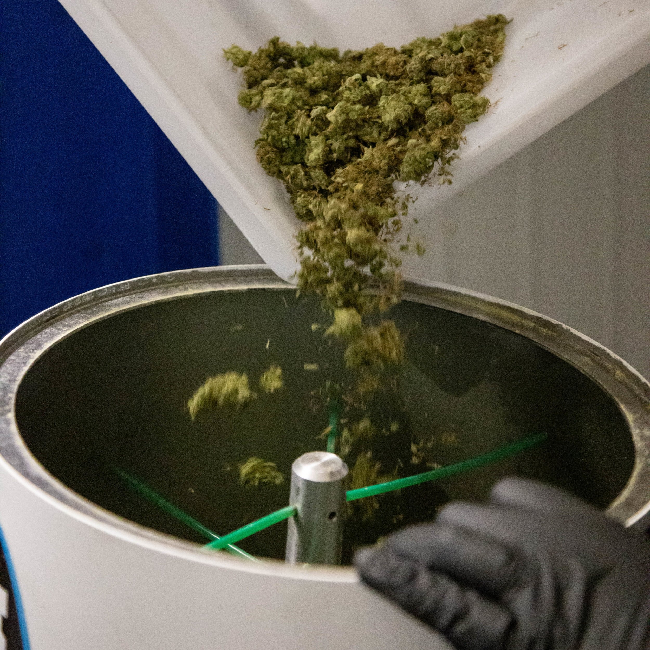 2019_01_27_Packaging_Drying_Cultivation_Flowering_Harmony_Dispensary_Cannabis_Marijuana_19.jpg