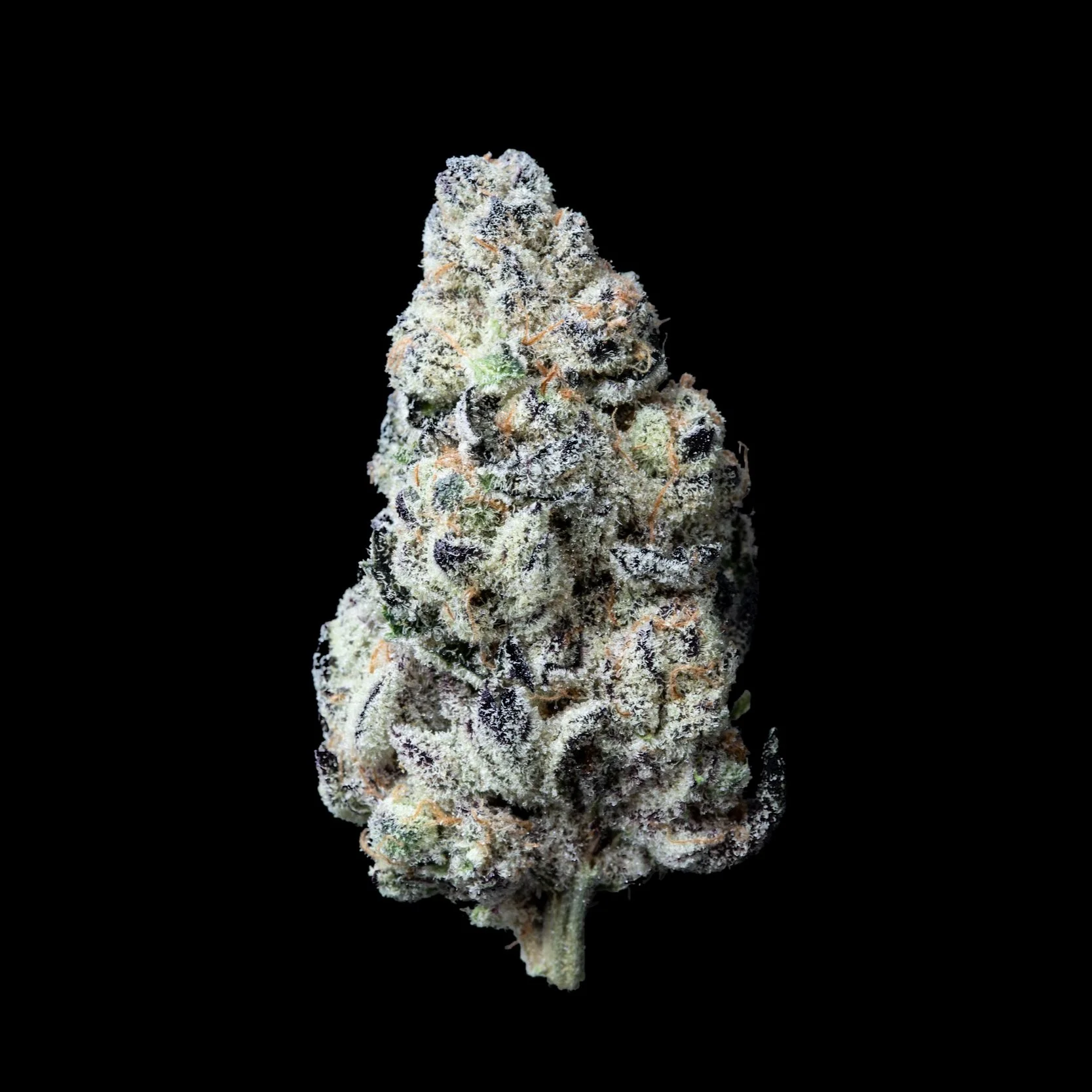 Pie Hole — NJ Medical Marijuana Dispensary Secaucus, NJ Harmony