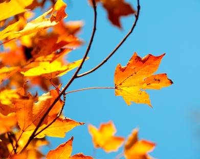 october_2018_image_resized.jpg