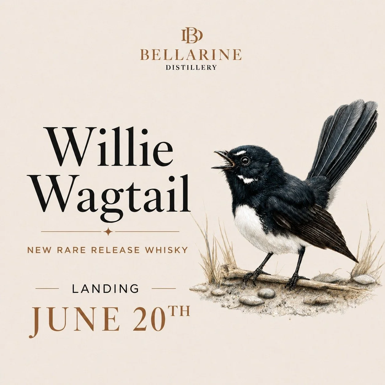 The final bird is coming into land.

Three birds. Three very different whiskies.

On Saturday June 20, Willie Wagtail officially joins the Rare Release Flight Club as the third and final bird in this year's collection.

And with just 161 bottles prod