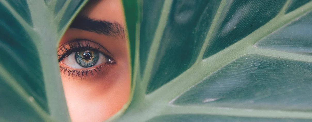 Mext_Consulting_Firm_Melbourne_Trust_Basics_Eye.jpg