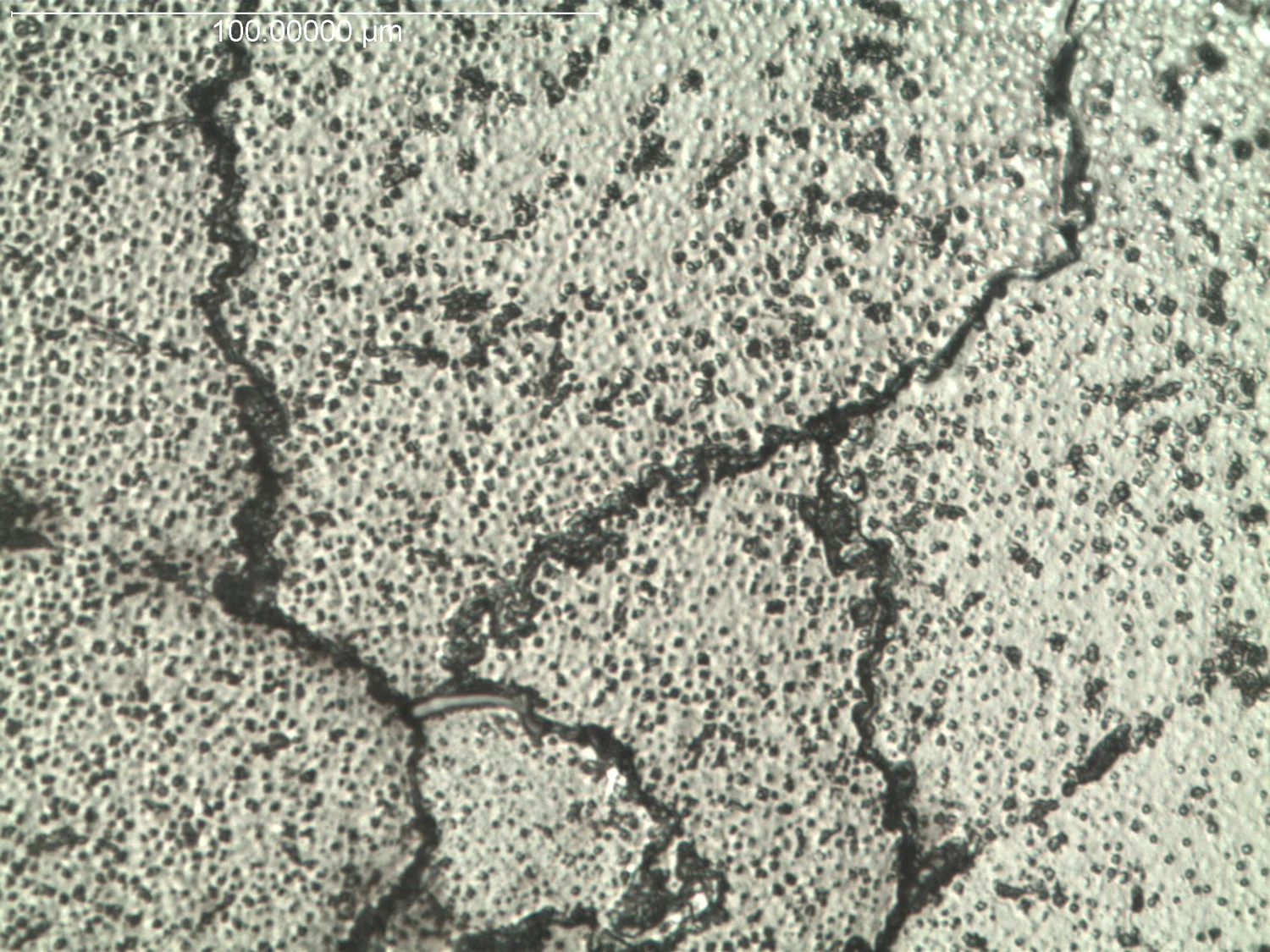 Metallography Lab About Us — Metallurgical Engineering Services
