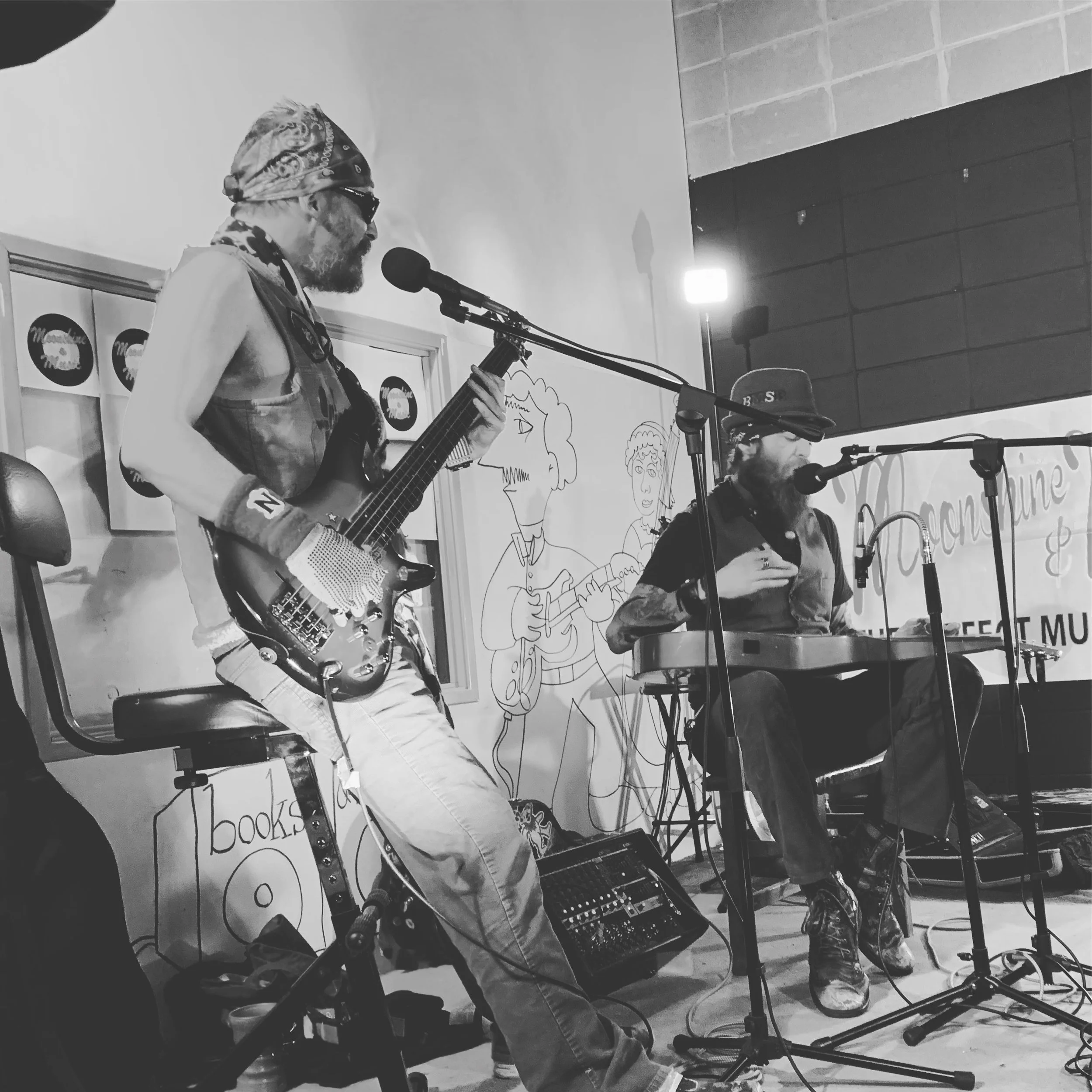 The Barney Muggers Street Band on the Moonshine and Music Stage at Books and Brews.