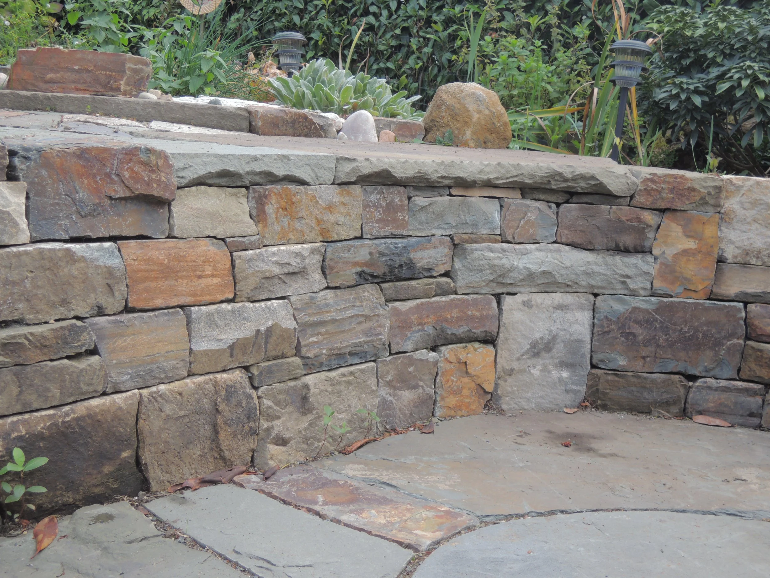 misc nikon 10.18.2013 252.JPG