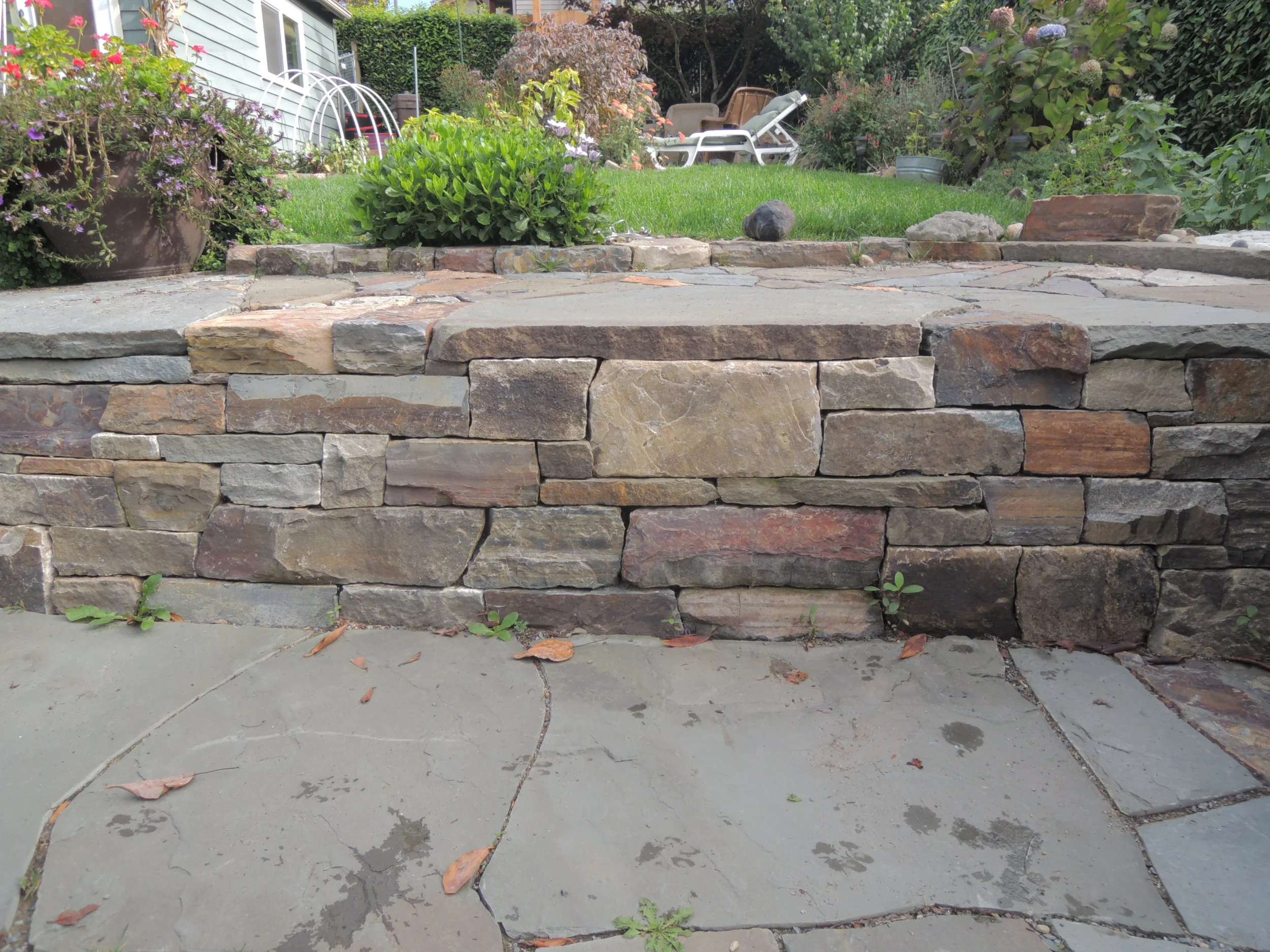 misc nikon 10.18.2013 258.JPG