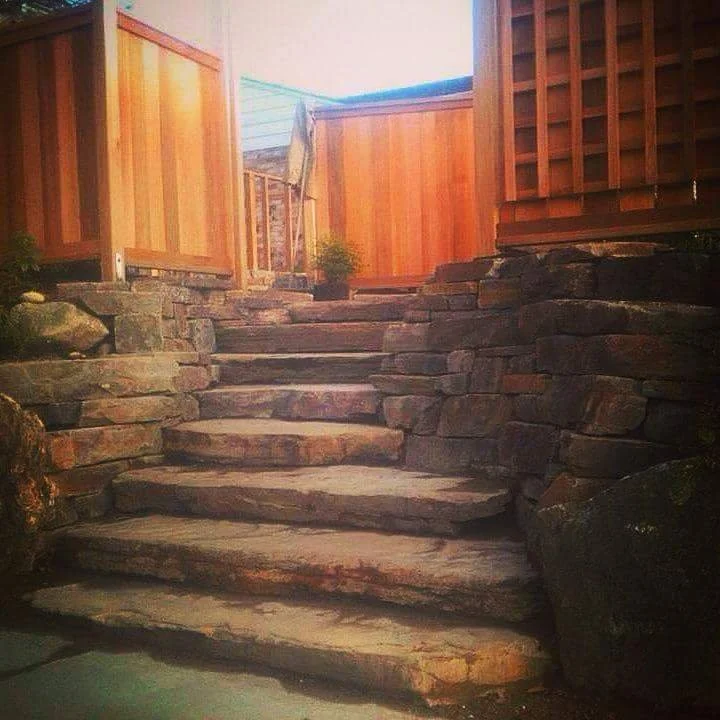 March 25 2016 Import Toms phone 518.JPG