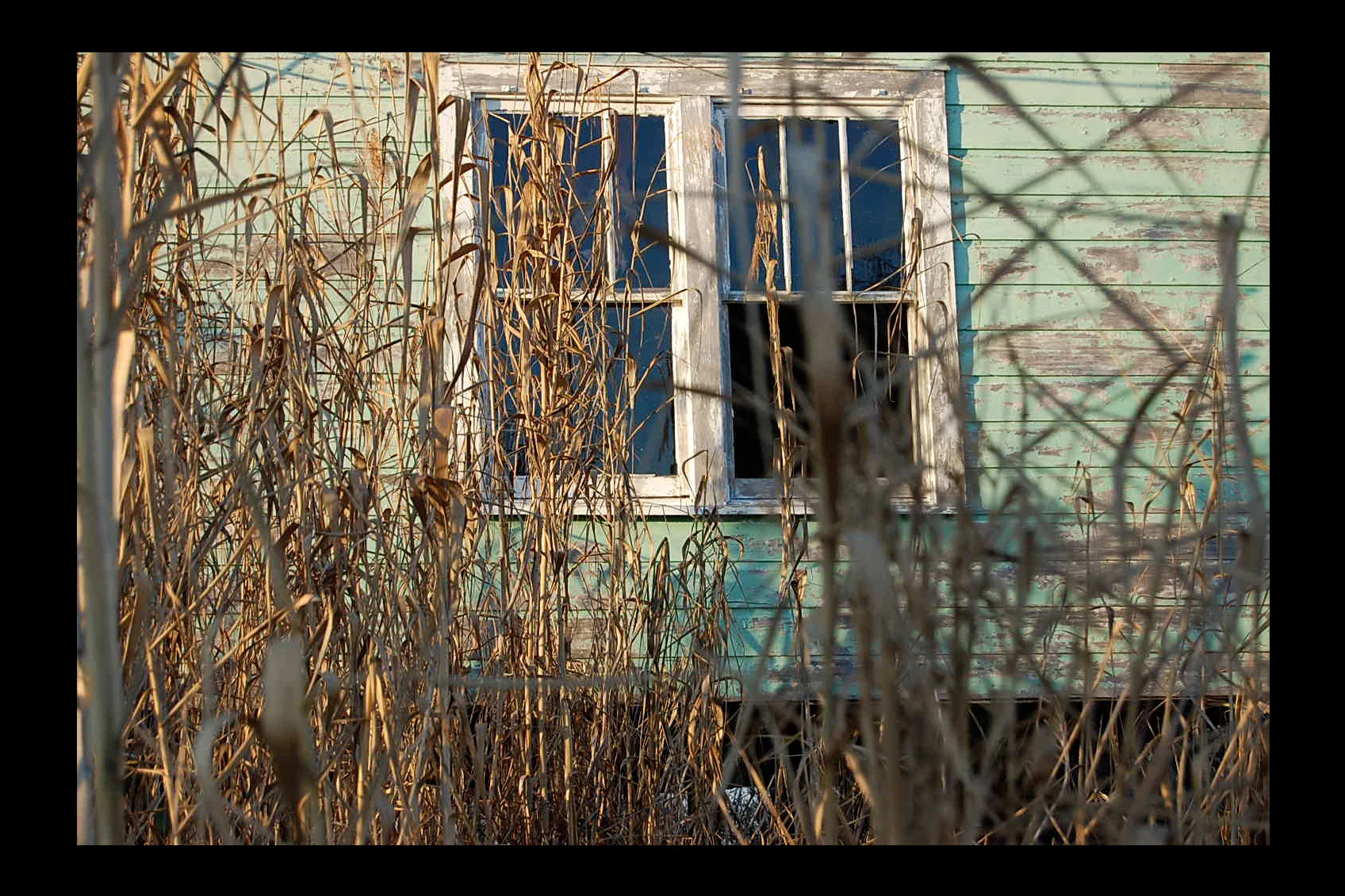 Texas Killing Fields