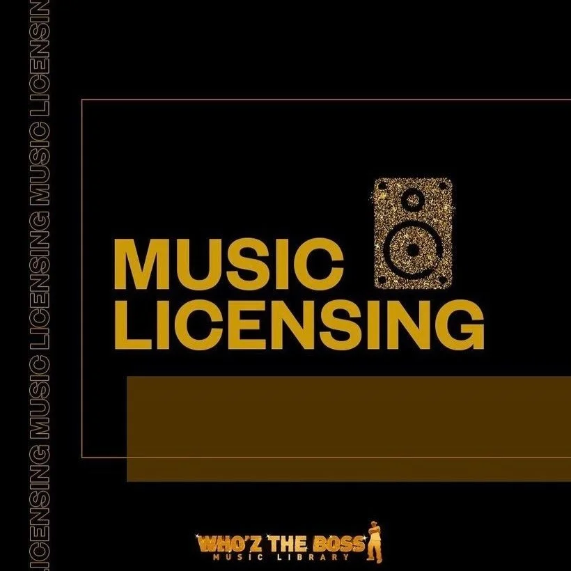 MUSIC LICENSING