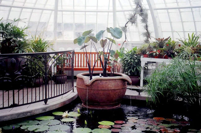 4 SF_Conservatory-Fountain.jpg