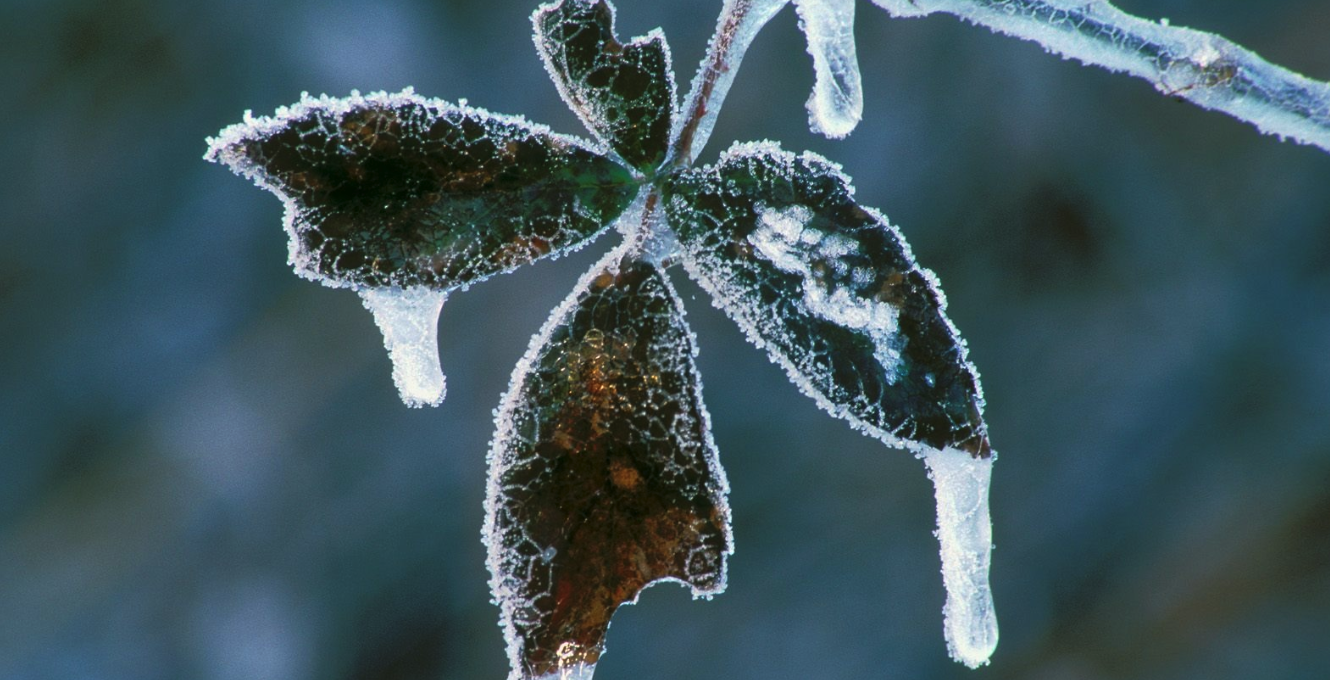 Claremont Closes Out the Cypress College Invitational