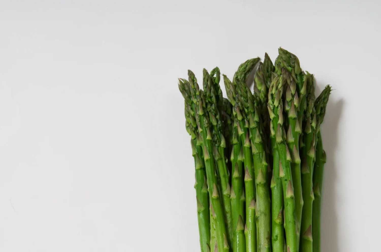 Commercial Food Photograph