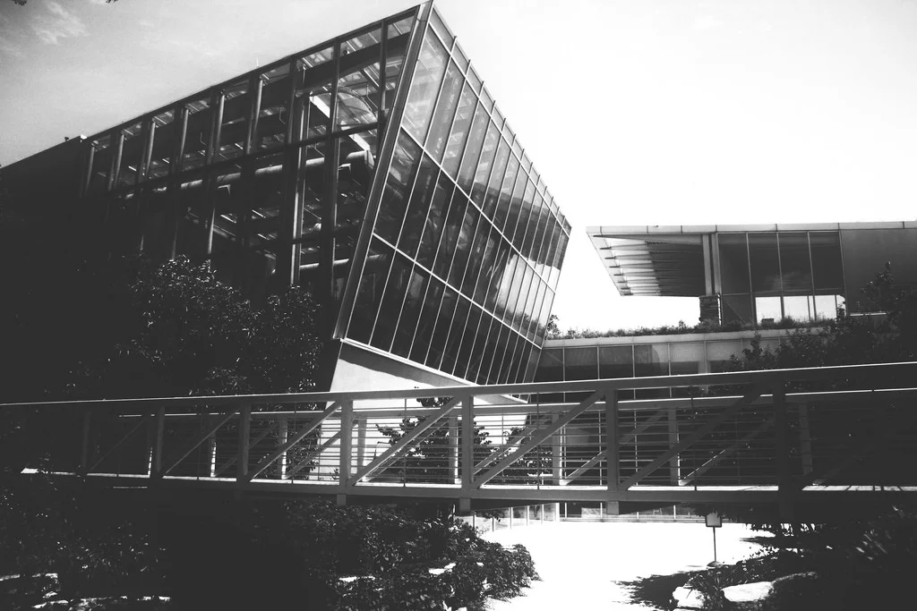 image8.jpeg