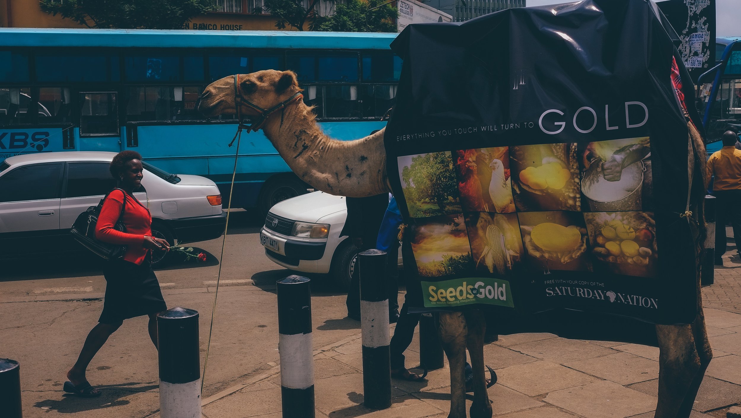 Camel Ad in Nairobi (Kenya).jpg